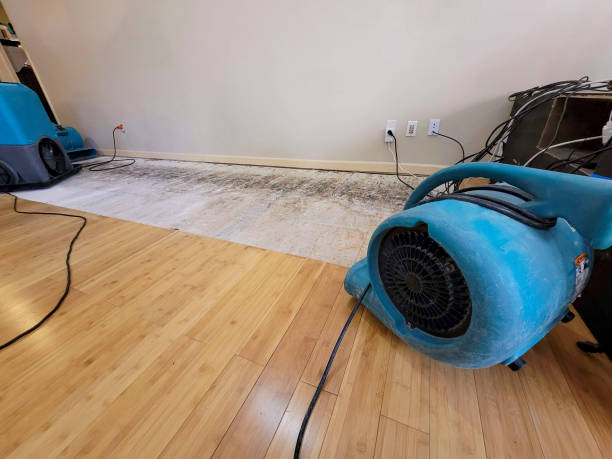 Reliable Crawl Space Water Removal contractor in De Soto, IL by Hirex Water Damage
