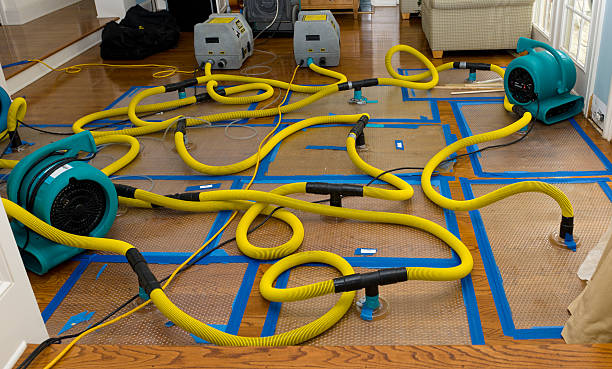 Professional Crawl Space Water Removal technician working in De Soto, IL